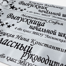 Выпускная именная лента 2027 | Дизайн: 9 | Цвет: Титан